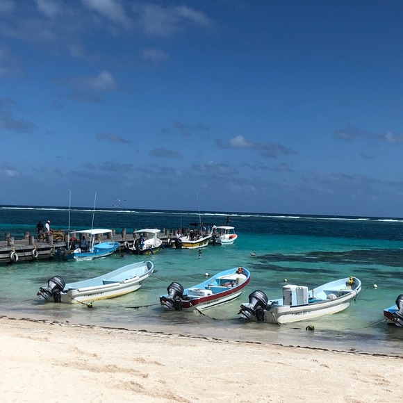 Meet your Posher, Jo-anne - Picture 1 of 1